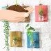 Wooden Wall Hanging Plant Terrarium Glass Planter Container，Creative Home Wall Decoration,Entryway Hallway Living Room Office Bedroom Decoration blue   